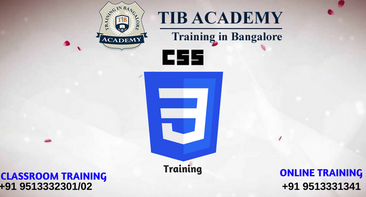 CSS Training in Marathahalli
