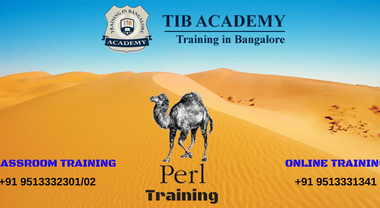 Perl-training-institute-in-Marathahalli