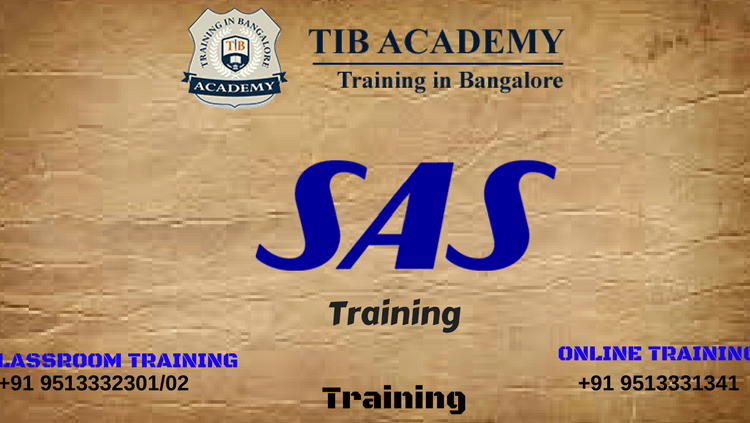 SAS-training-in-Marathahalli